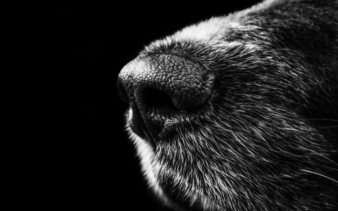 More business might be right under your nose – here’s how to find it