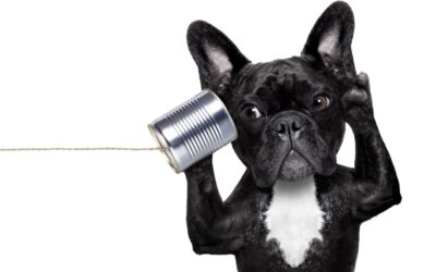 Less talking and more listening
