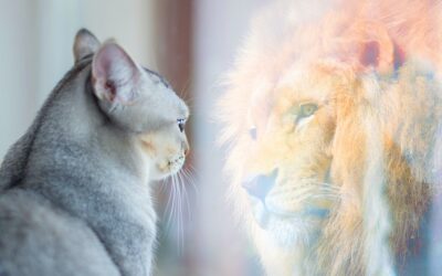 Remote Selling -part two: Personality types