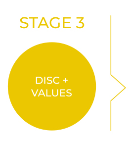 Satge3_DiscValues_COL-2